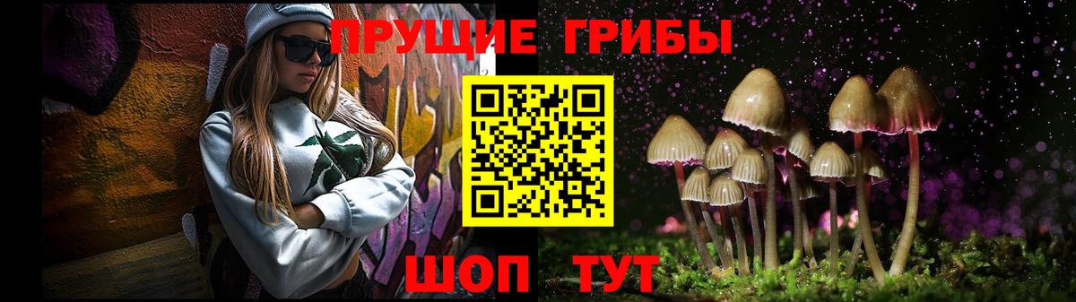 Псилоцибиновые грибы Psilocybine cubensis  наркотики  Котовск  Вход с VPN 